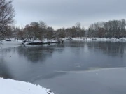 Kopački rit zimi - jezero Sakadaš, Foto: Neven Knežević/HRT Radio Osijek