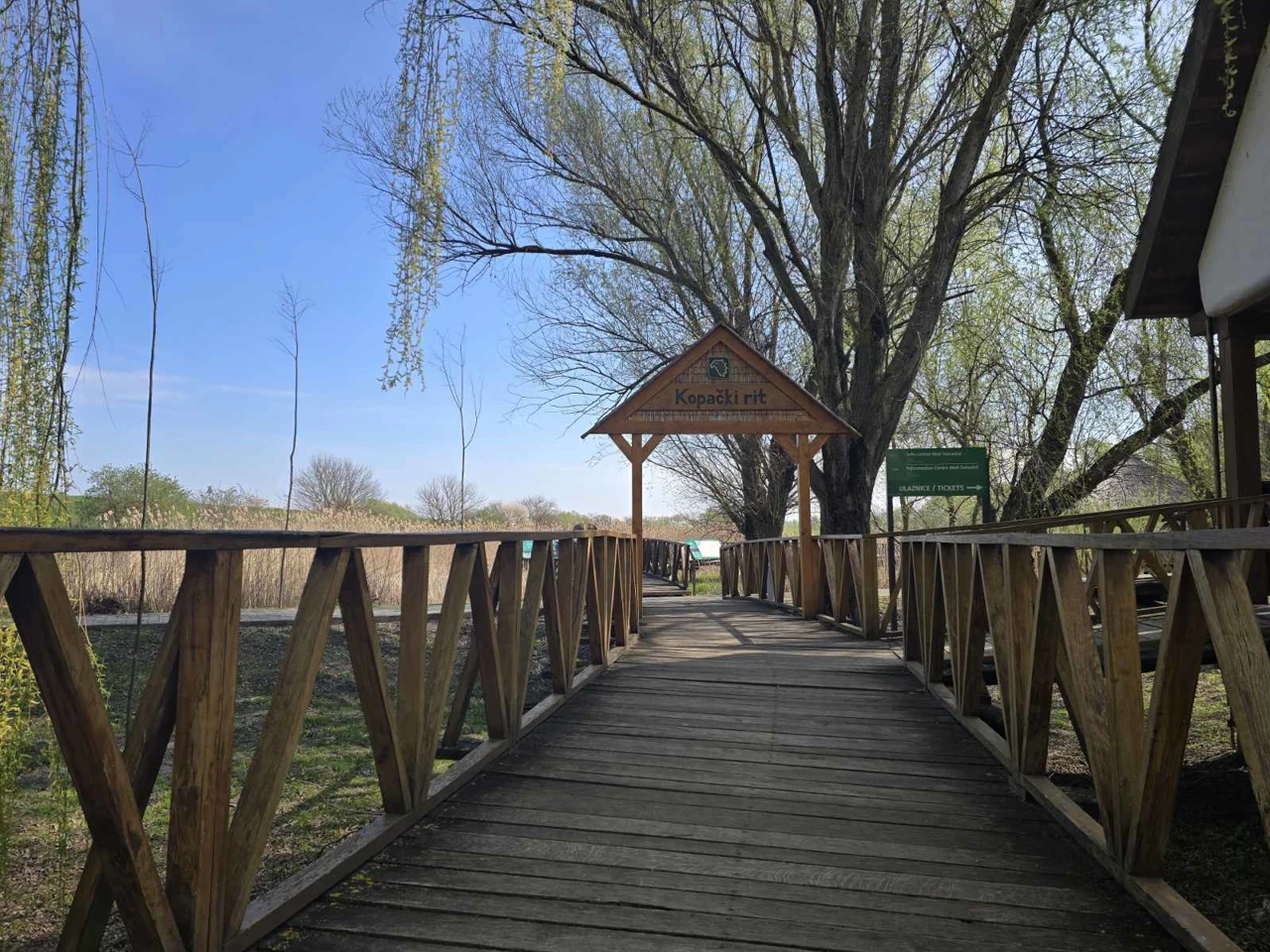 Kopački rit, Foto: Radio Osijek/HRT