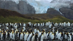 Nedjelja, 8. ožujka na Prvom , Foto: Stoljeće legende: Globalna pustolovina Davida Attenborougha/dokumentarna serija 