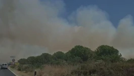 požar kod Murvice