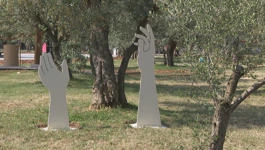 Fažana otvorila park maslina: "Fažanski olivari" slave uljarsku tradiciju