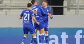 Lisica, Ljubičić i Valinčić