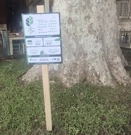 Zadar je dio europske TreeTag kampanje – odabrana gradska stabla dobila su TreeTag oznake, Foto: -/-