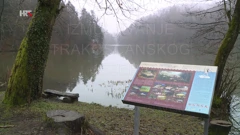 Trakošćansko jezero