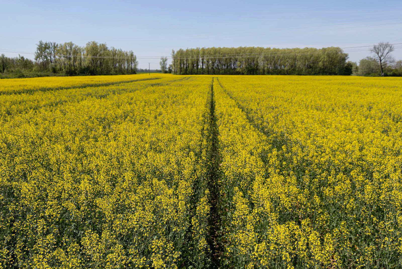HPK poziva poljoprivrednike da dostave dokaz o posjedu zemljišta bez ugovora o zakupu