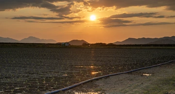 Ruralni turizam u dolini Neretve
