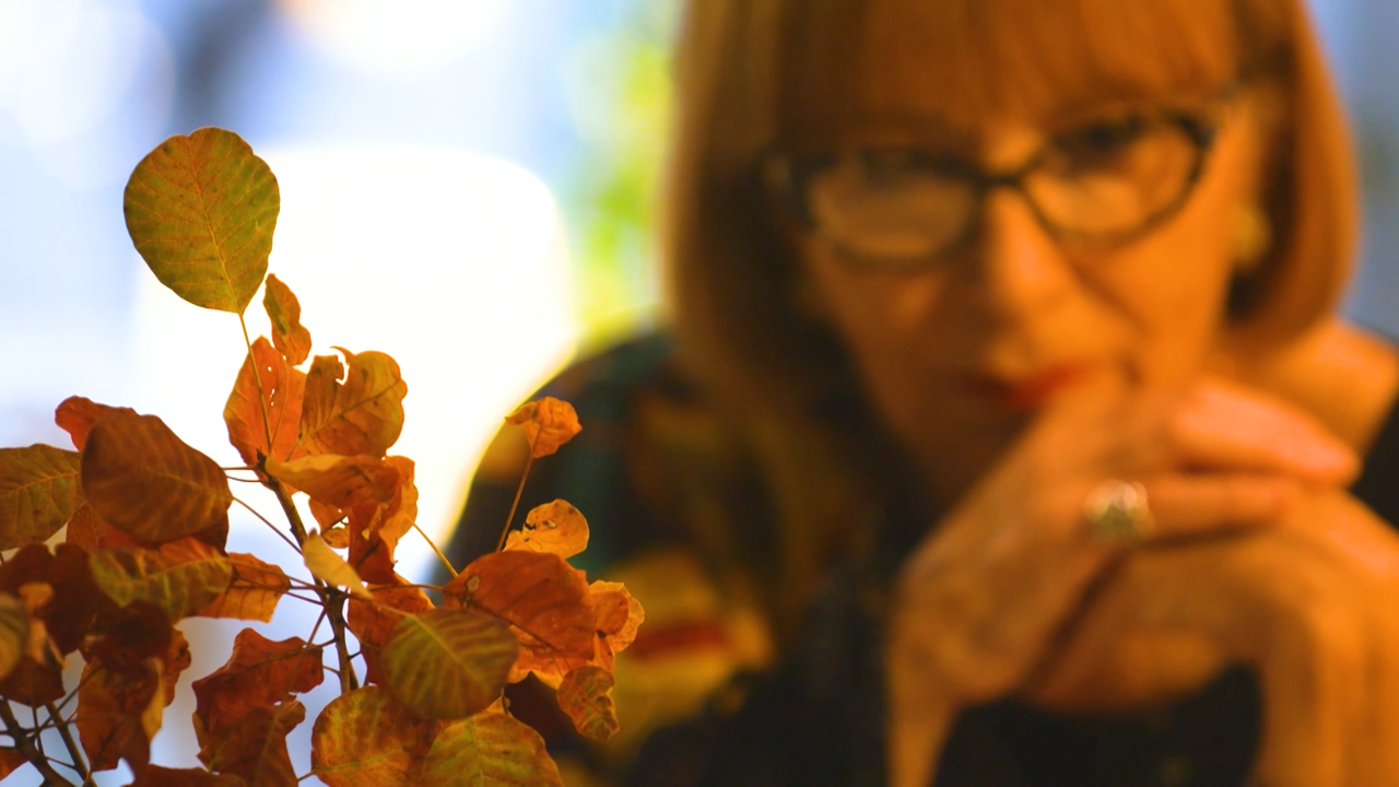 Petak, 15. studenog na Trećem, Foto: Marija Sekelez: Mi od pljeska živimo/dokumentarni film