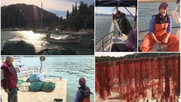 Kobaš, otok na poluotoku