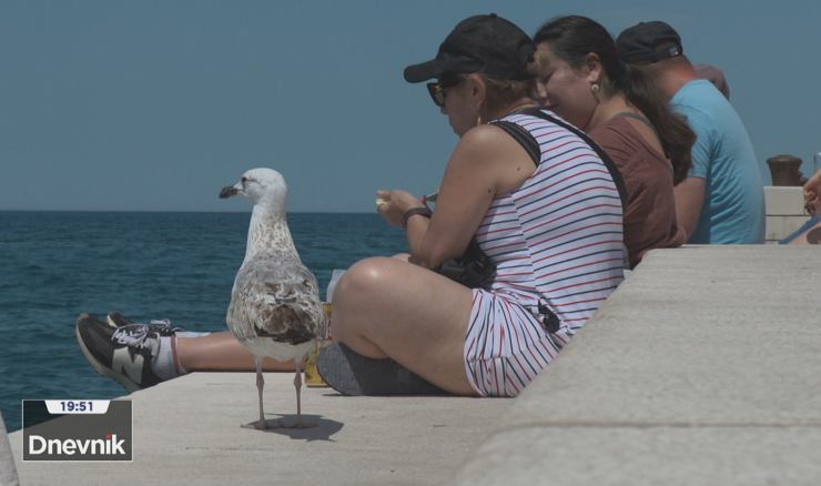 Zadar poprima ljetni ugođaj uz više od 30 stupnjeva