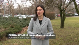 Petra Sviličić