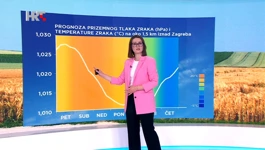 Tomislava Hojsak