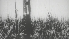 Ponedjeljak, 22. veljače na Četvrtom , Foto: Crveno stoljeće ili kako su djeca pojela revoluciju/dokumentarac