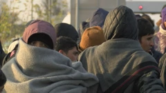 Migranti