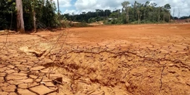 Foto: WWF Adria, Foto: -/-