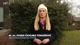 Ivana Čavlina Tomašević