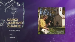Najbolja izvedba jazz glazbe - Darko Jurković Charlie(CATHEDRALS), Foto: HTV/HRT