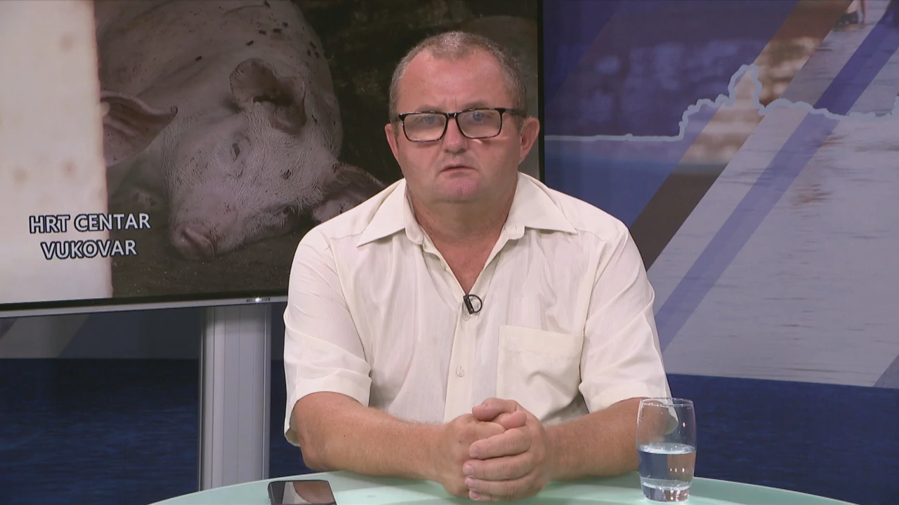 Antun Golubović, predsjednik Odbora za svinjogojstvo Hrvatske poljoprivredne komore, Foto: HTV/HRT