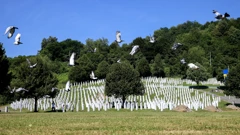 Golubovi mira u Potočarima