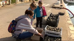 Japanske bio kugle za čisto more