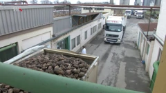 Obrada šećerne repe, Foto: Plodovi zemlje/HRT