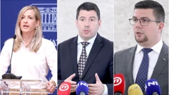Mirela Ahmetović, Nikola Grmoja, Domagoj Hajduković