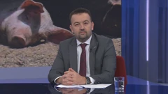 Marijan Pavliček, Foto: Otvoreno/HRT