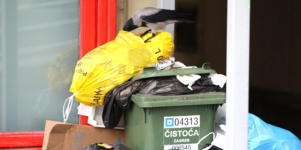 Smeće na ulicama, Foto: Patrik Macek /Pixsell 