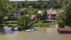 Zeleni otok/Arhiva