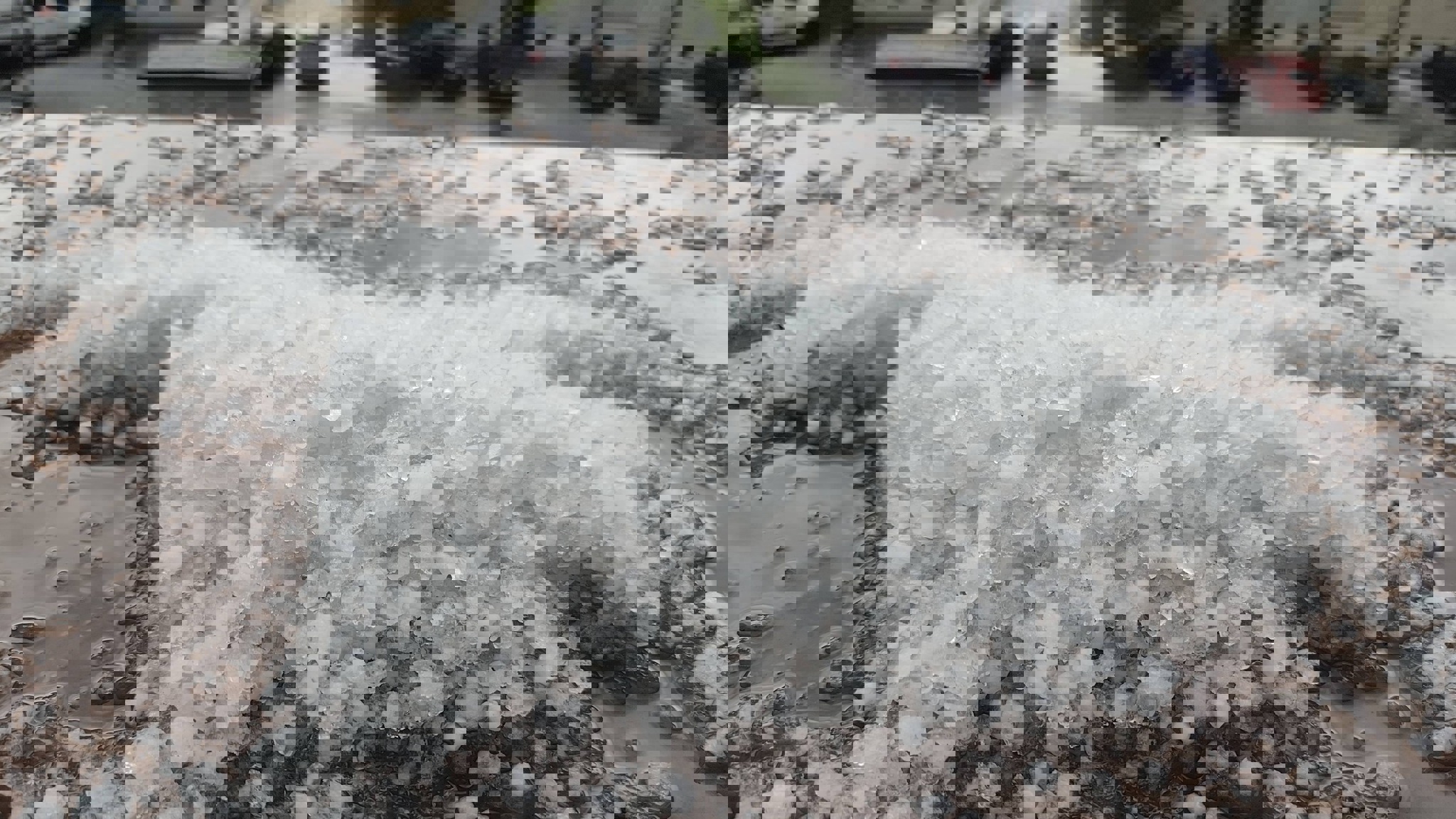 677740245 1607254611226943 4184992717130707746 n 20260420144206