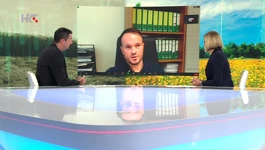 Đino Zmijarević, Krešimir Prpić i Andreja Oreč