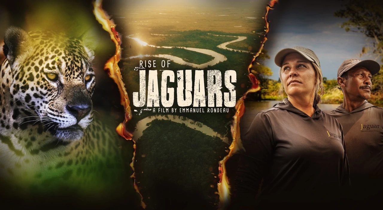 Ponedjeljak, 6. travnja na Drugom , Foto: Život jaguara u Pantanalu/dokumentarna serija 