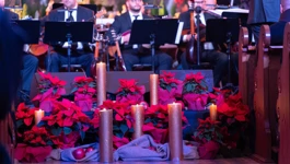 Tiha noć u Vukovaru 2024. 