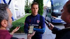 Mario Pašalić
