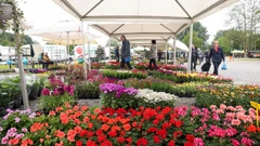 Otvoren Floraart
