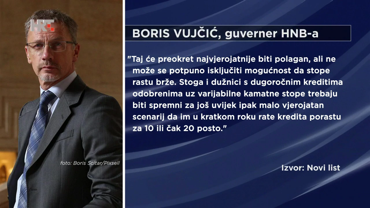 Izjava Borisa Vujčića
