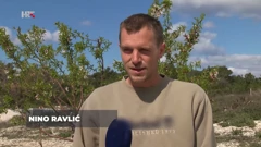 Nino Ravlić, agronom u sadnji mladica badema  , Foto: Plodovi zemlje/HTV/HRT