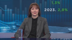 Vesna Vučemilović, Hrvatski suverenisti, Foto: Otvoreno/HRT
