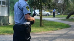BiH, policija