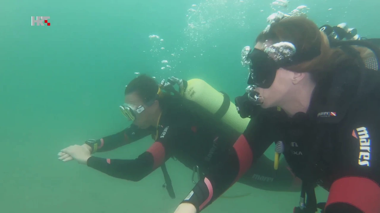 Ronjenje u Savudriji, Foto: More/HRT