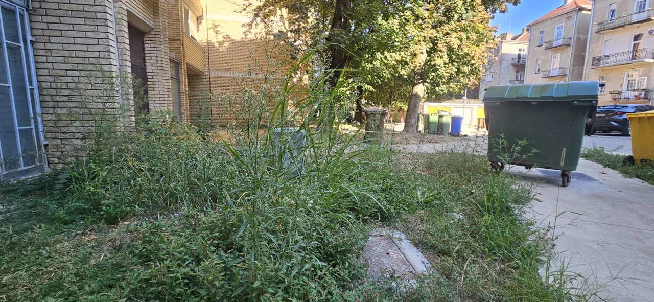 U središtu Osijeka