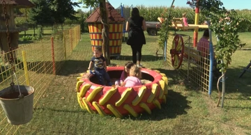 Umirovljenik u selu blizu Virovitice izgradio park za djecu