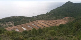 Mljet, smaragd Mediterana, Foto: Slatina obitelji Radulj (Foto: Tatjana Rau/Glas Hrvatske)/-