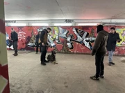 Srijeda, 25. veljače na Prvom, Foto: Psi na zadatku /2. sezona dokumentarne serije