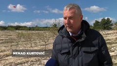 Nenad Kurtović, vlasnik plantaže badema , Foto: Plodovi zemlje/HTV/HRT