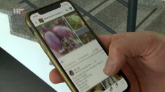 Online tržnica sve popularnija