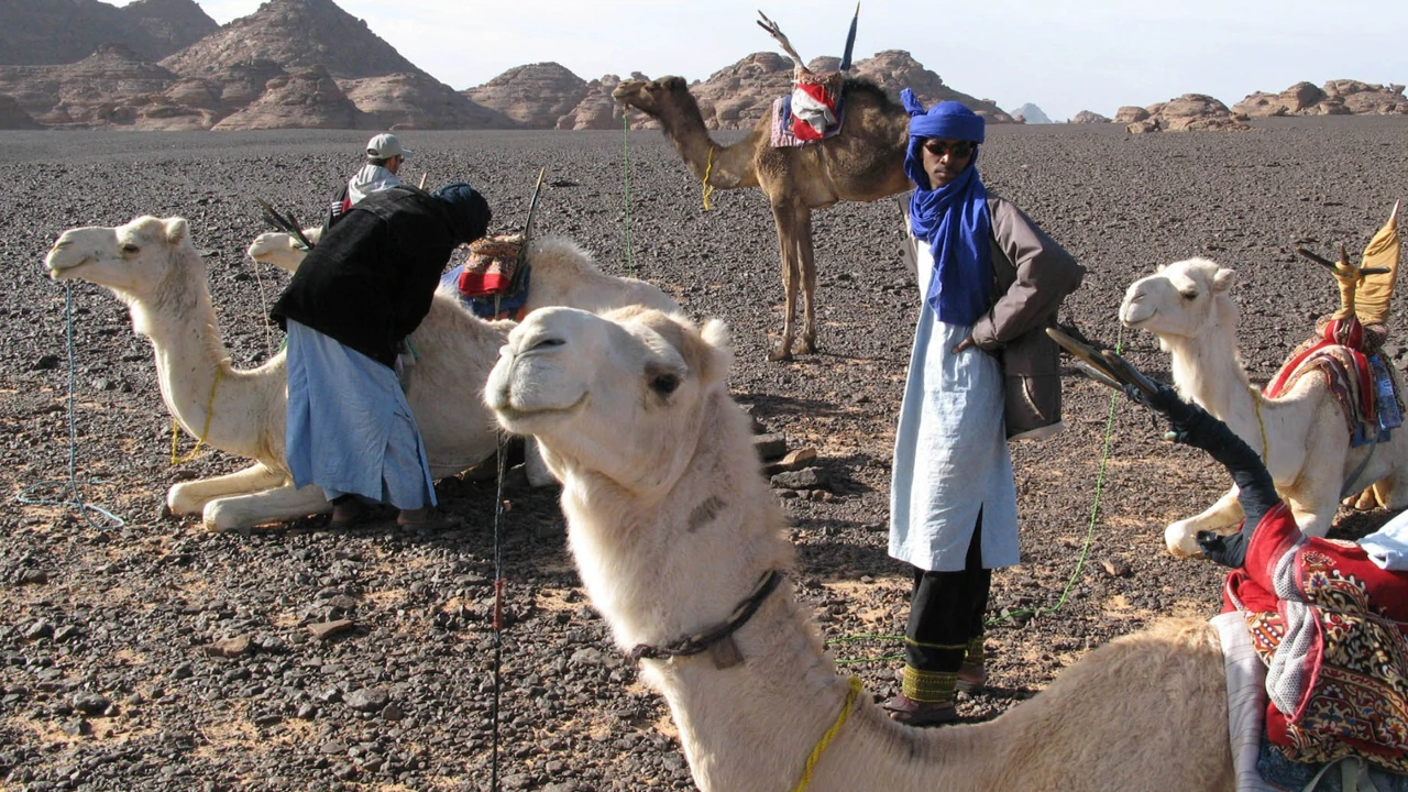 Utorak, 1. velječe na Četvrtom , Foto: Pustinje svijeta: Sahara /dokumentarna serija