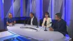 Plinska afera