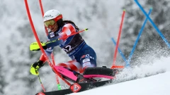Zrinka Ljutić
