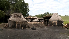Ugljenice