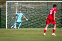 Dinamo - Krivbas, Foto: Matija Habljak/PIXSELL